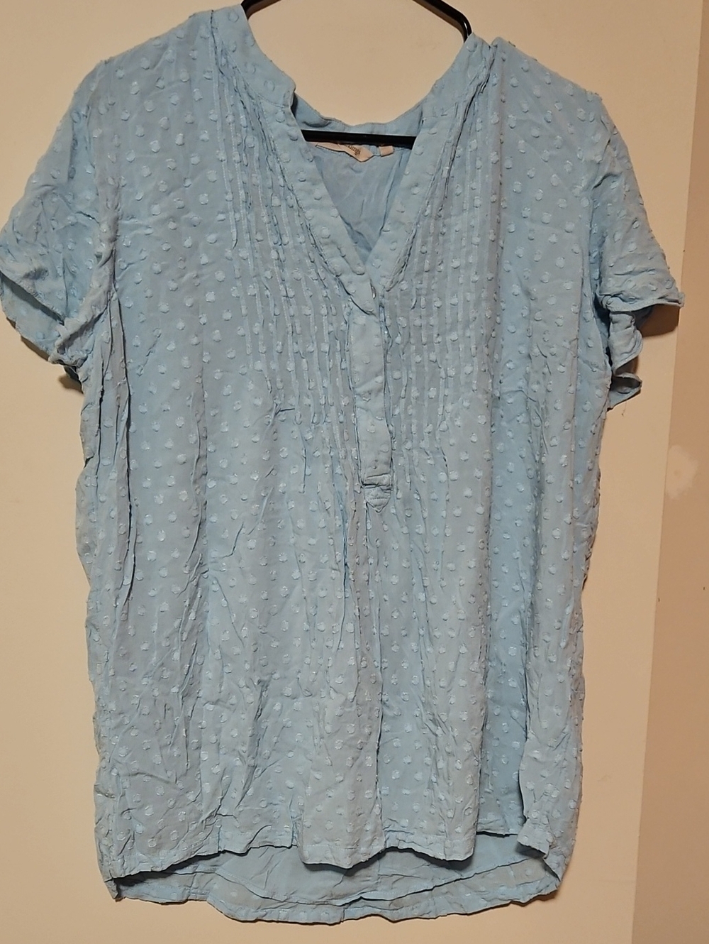 Soft Surroundings Light Blue Swiss Dot Pintuck V-Neck Top